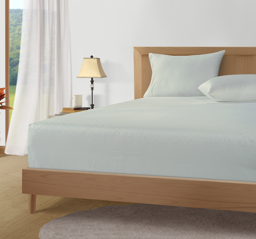 1000 Thread Count Pillowcases-Swiss Dot-Mineral