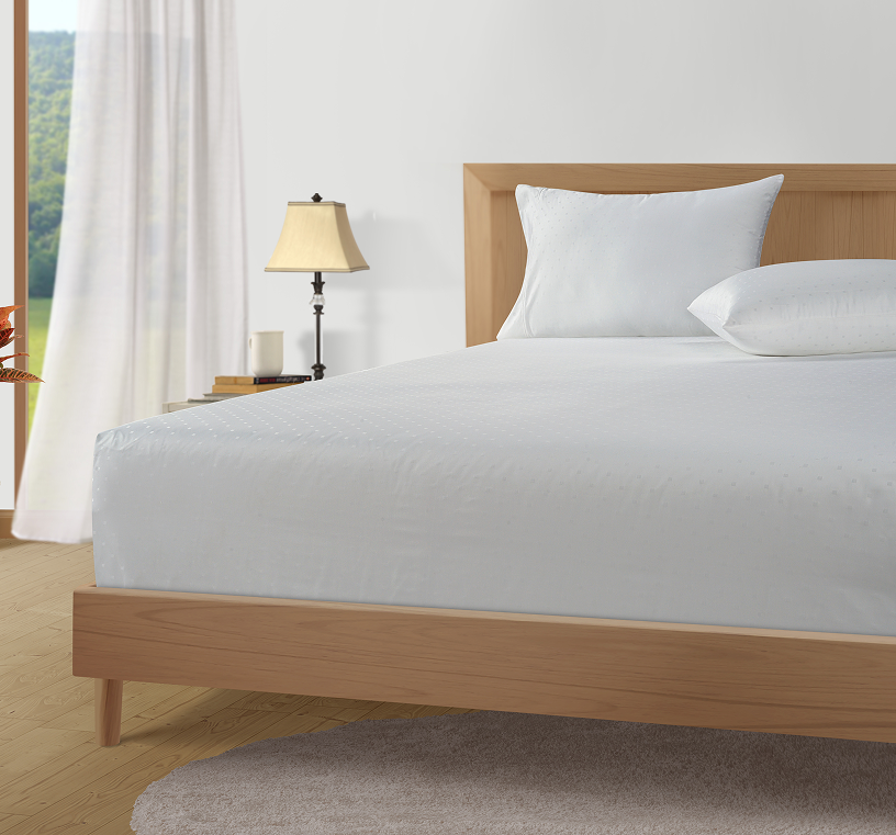 1000 Thread Count-Swiss Dot-White