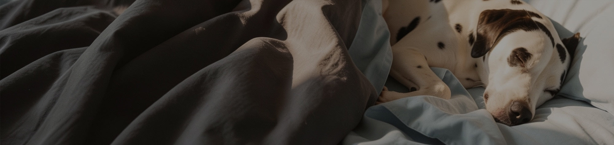 Textiles made to be lived in